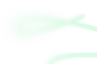 Vector
